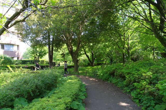 この先は国分寺跡の史跡や真姿の池湧水群、お鷹の道へと続きます。