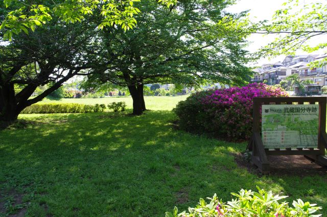 薬師堂の近くの北西の区画へ。