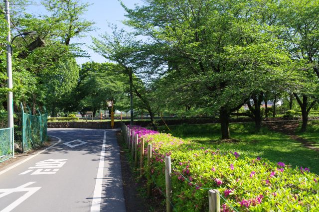 南側に中心的なエリアがあります。