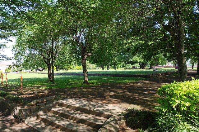 道路から一段上の中心的エリアへ、入ってすぐは木々が覆う。