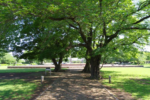 向かう合うように金堂跡があります。