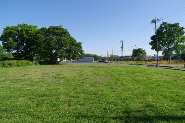 金堂跡の南側、T字路の左側の区画。