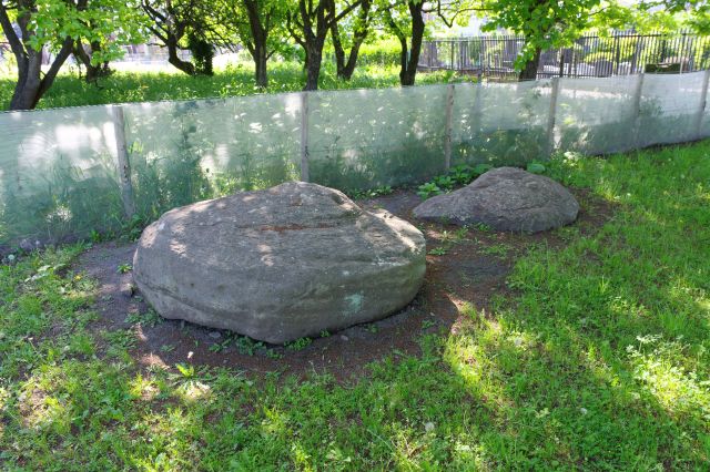 独特な形の大きな石です。