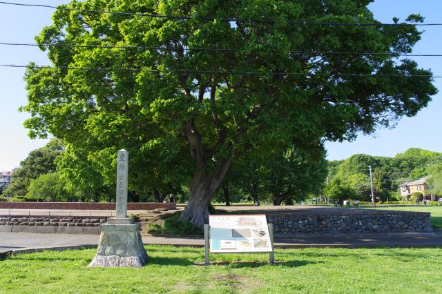 武蔵国分寺跡の写真ページ