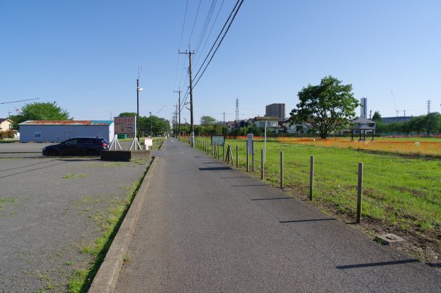 道路を南へ、道路と並行する参道跡。
