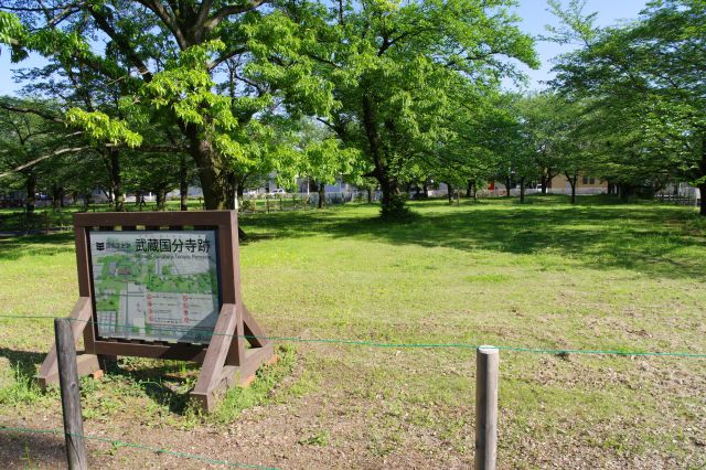 そこも国分寺跡としての表示あり。