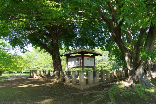 一角に七重塔跡があります。