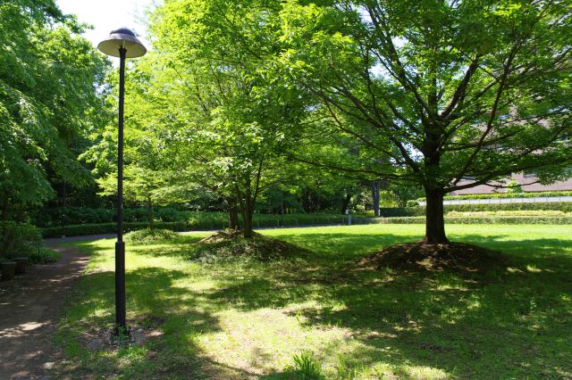 公園のようで史跡とは気づきにくいです。