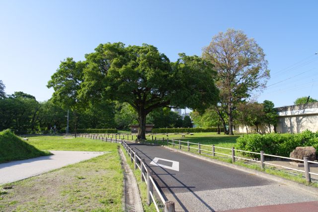 道路が貫く伽藍跡、意外と車通りがあります。