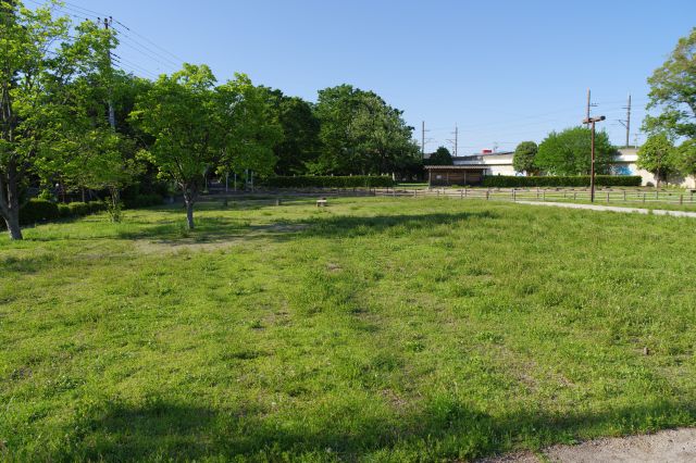 金堂の北側は講堂想定地。