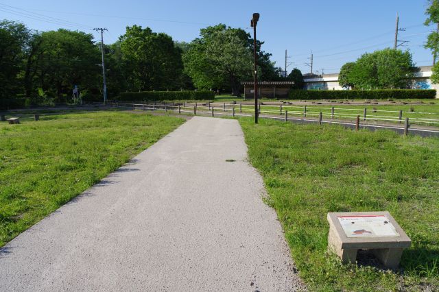 金堂からまっすぐの道、道路が斜めに貫きます。