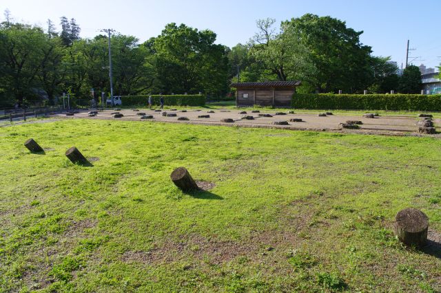 斜めの幢竿は僧寺跡含めてここで初めて。