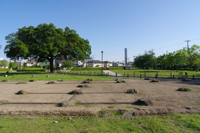 武蔵国分尼寺跡の写真ページ
