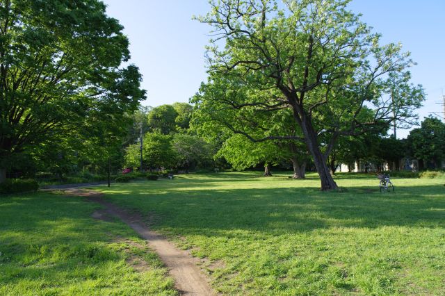 その先には緑の広場があります。