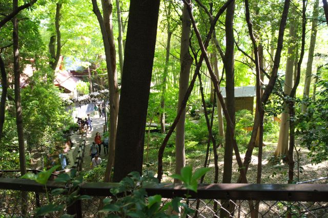 池に近づくと水の音が聞こえてきます。