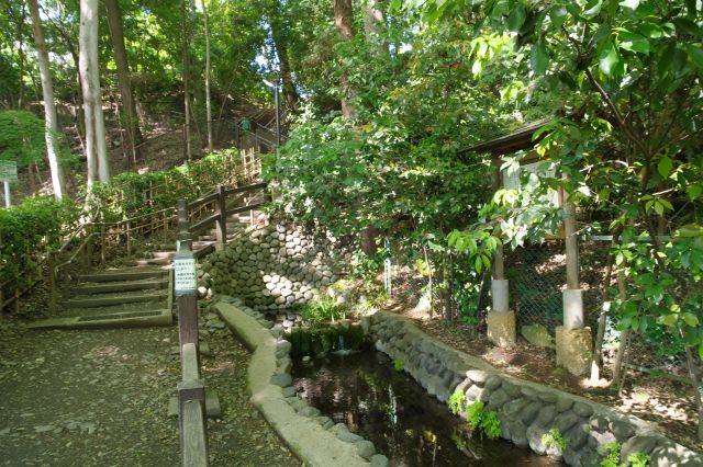 崖下の心地よい森と水の流れ。