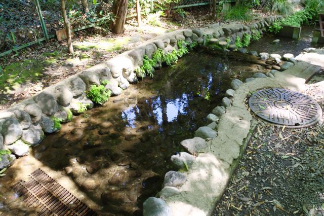 透明できれいな水。