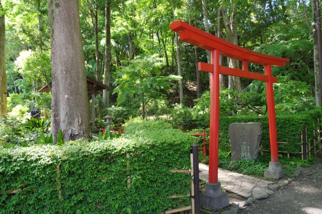 弁財天と緑の森。木々を揺らす風も心地よい。