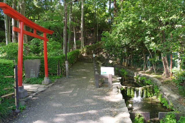 真姿の池湧水群の写真ページ