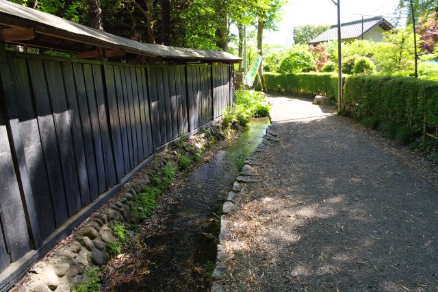 風流な光景が続きます。