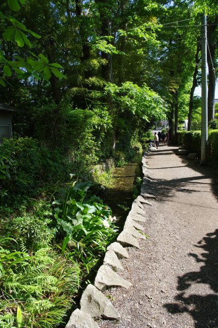 緑が迫る水路と小路が続きます。