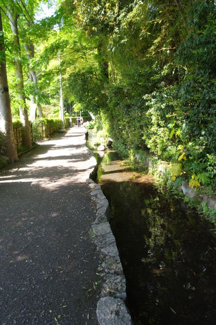 しばらく進んで振り返る。