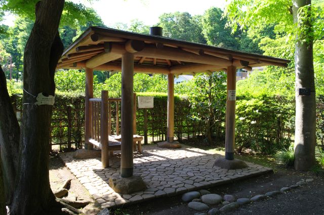 東屋付近でお鷹の道へ出ます。