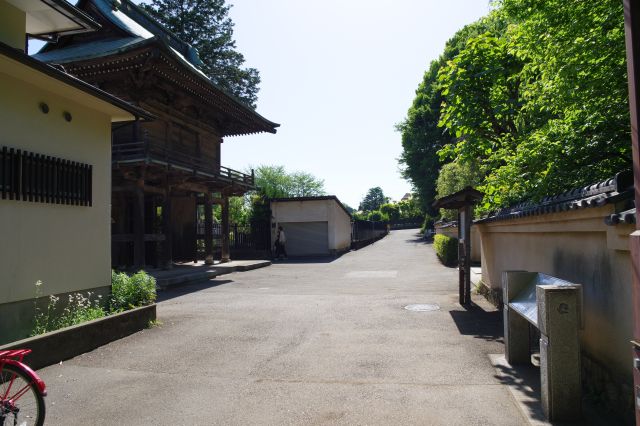 お鷹の道から武蔵国分寺の前に出ます。