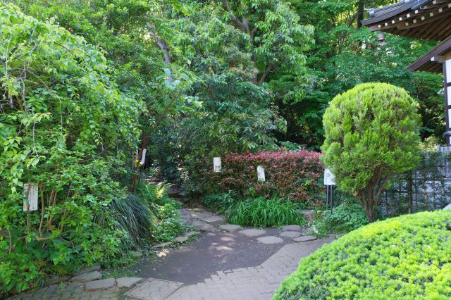 境内は緑の木々がひしめき、静けさと風が揺らす葉の音や鳥の声が心地よい。