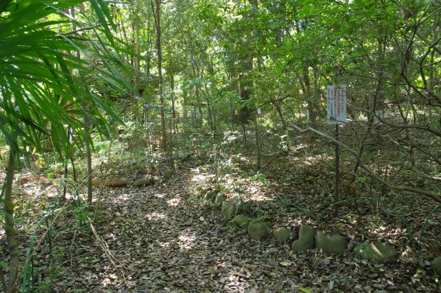 裏山のような雰囲気。