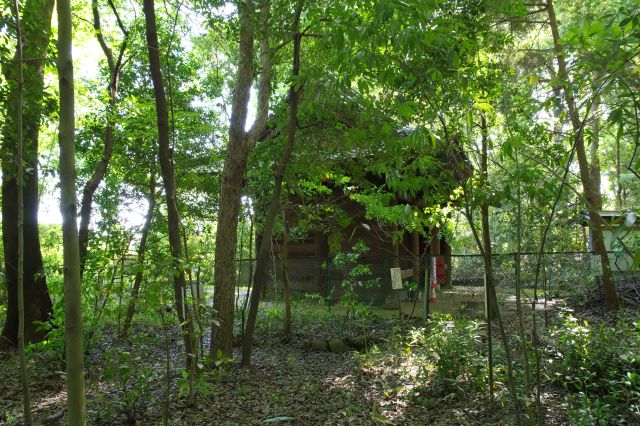 フェンスの向こうに仁王門が見える。