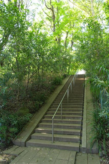 さらに階段を登ります。