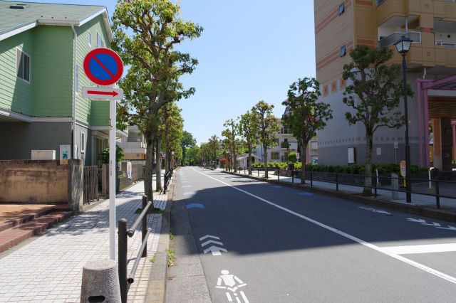 正面の道を振り返る。緑が見えて落ち着いた住宅街。