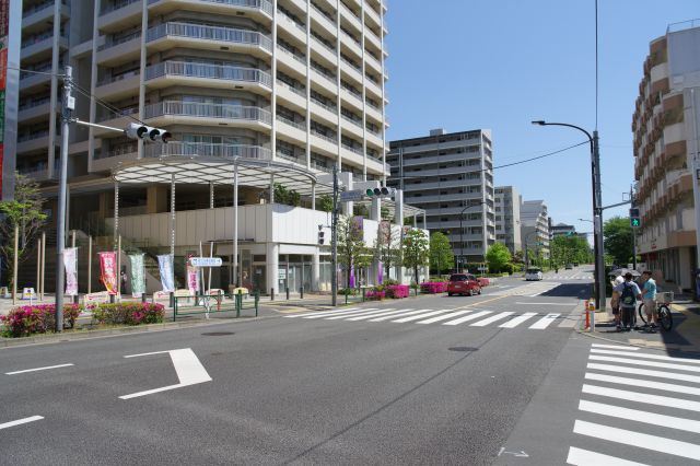 南側はマンションが多いです。