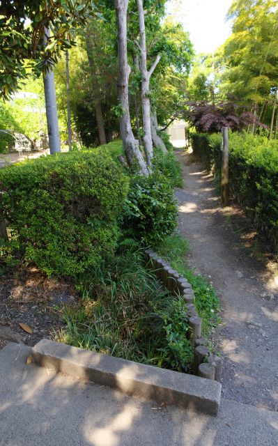 石畳や土の上を歩く部分も。