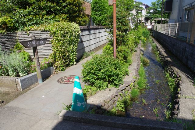住宅が迫る路地と小川の風景。