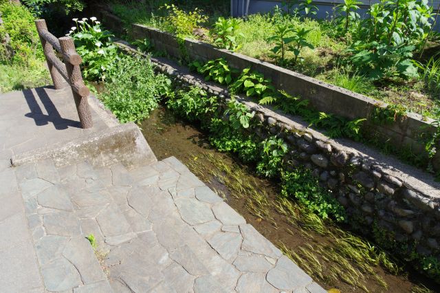 水になびく水草もきれい。