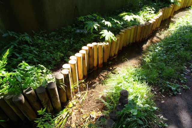 小川の心地よさを感じながら再び戻ります。