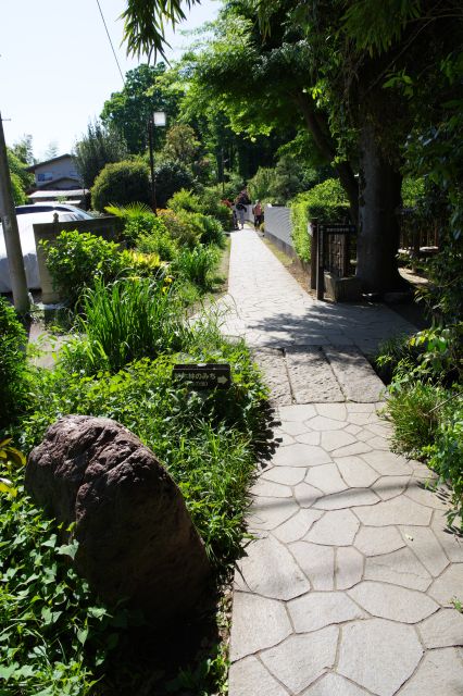 真姿の池付近に戻りました。このまま西へ進みます。