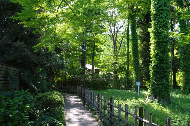 広場の区画沿いは緑が心地よい。