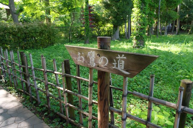 お鷹の道の立札。