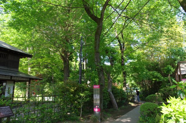 緑と歴史と賑わいの魅力的なスポット。