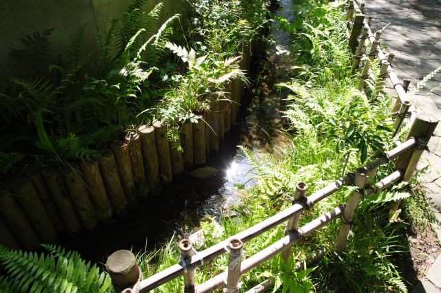 道脇に水路が続きます。