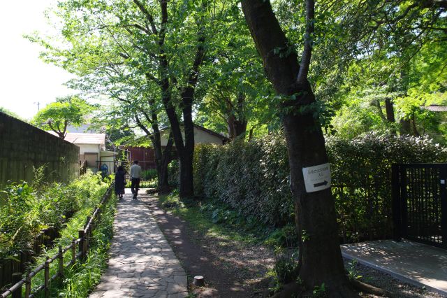 狭くても風流で魅力的な道です。