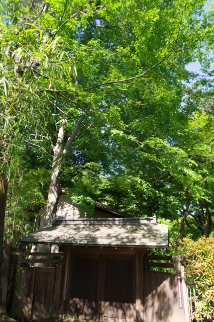 木造の門と溢れる豊かな木々。