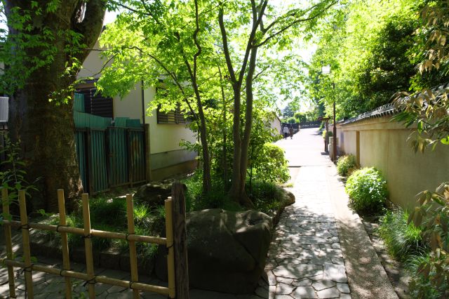 この先は万葉庭園のある武蔵国分寺へ続きます。