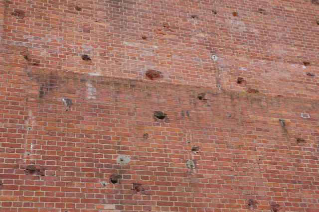 太平洋戦争の歴史も伝える。