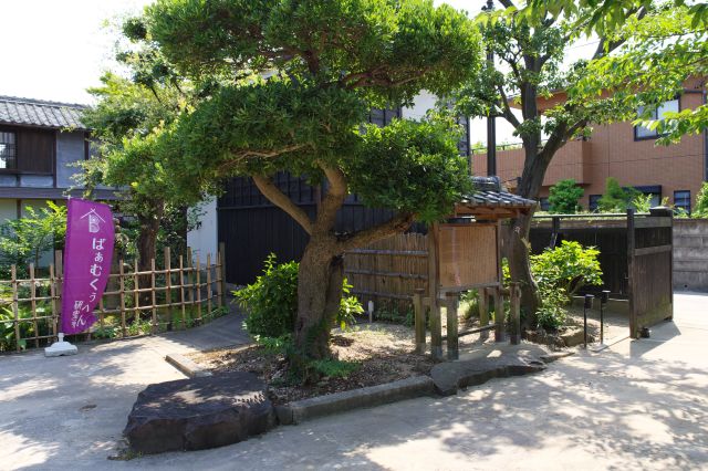 邸宅側にバームクーヘンのお店があります。