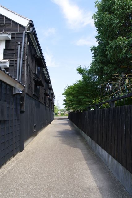 酒の文化館脇の黒壁の路地も良い風情、風鈴も覗く。