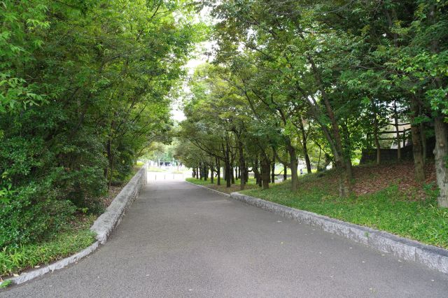 豊田市美術館の南西側から林を抜けて道路に向かいます。